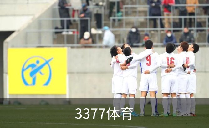 3377体育简介